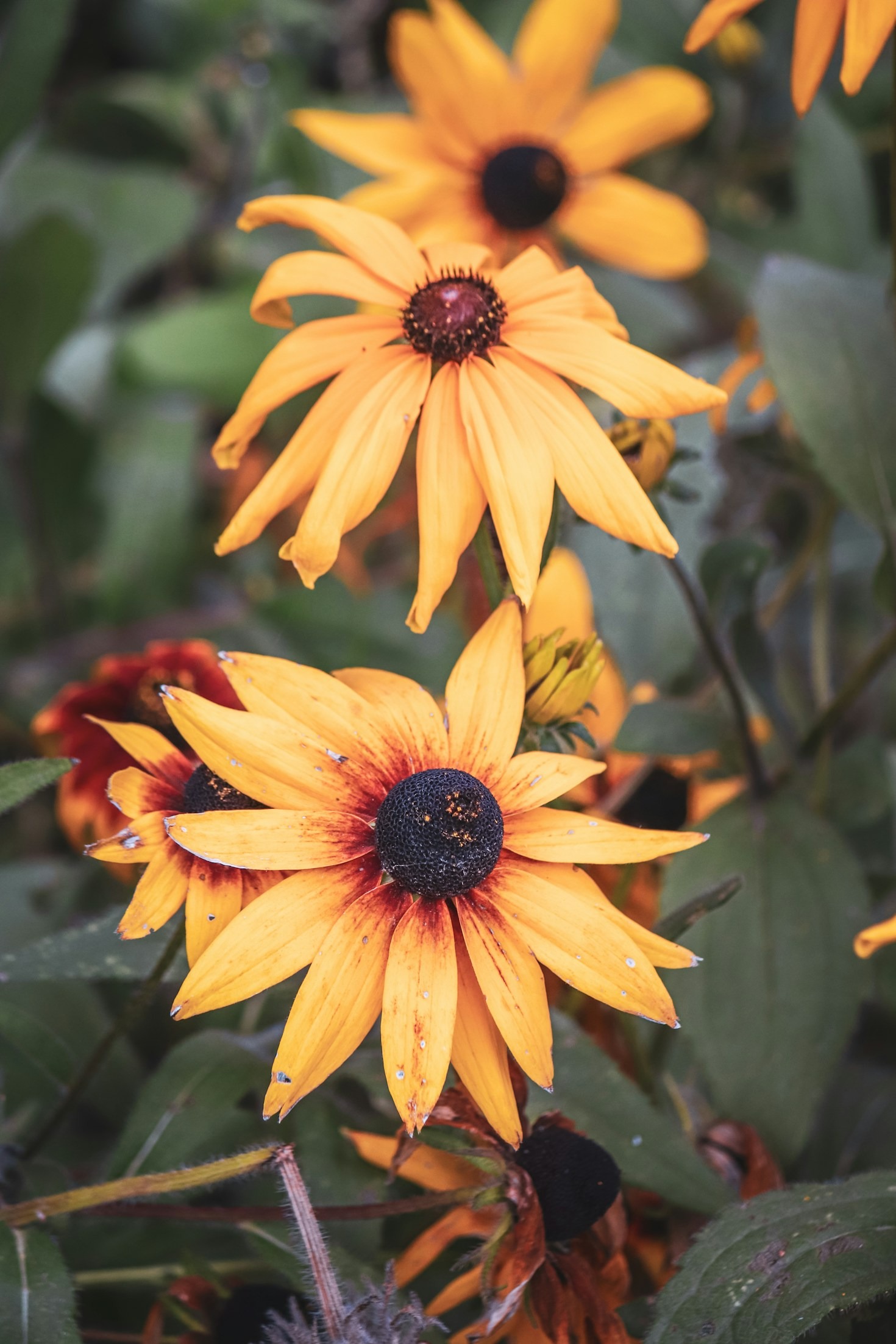 Top Tips for Achieving Naturally Radiant Skin