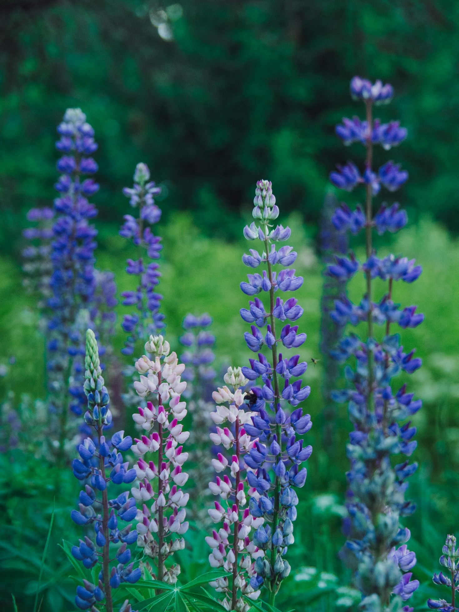 Why Eco-Friendly Skincare is the Future
